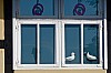 darss - (c) c tussing.jpg